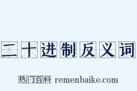 二十进制反义词是什么意思的图片